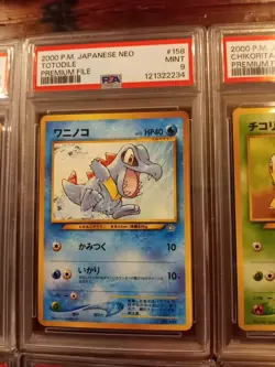 Set Of 6 PSA Slabs Pokemon Premium File 2000 Japan Cyndaquil Totodile Chikorita - Image 4