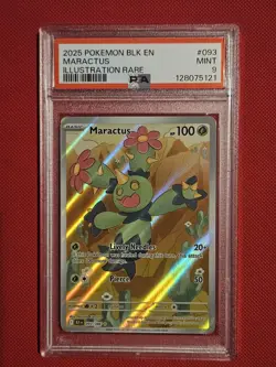 2025 POKEMON BLK EN-BLACK BOLT ILLUSTRATION RARE #093 MARACTUS PSA 9 - Image 1
