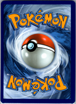Pikachu 055/217 - Ascended Heroes - Common - Near Mint - Pokemon TCG Cards - Image 2