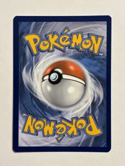 Charizard V SWSH260 - SWSH: Sword & Shield Promo Cards Holo (NM) - Image 2