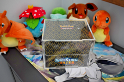 Pokemon Shining Fates Mini Tin Display Box + Custom Acrylic Case - Sealed NEW - Image 1
