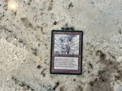 Mtg Glacial Chasm - Magic the Gathering Glacial Chasm Ice Age Played - Image 1