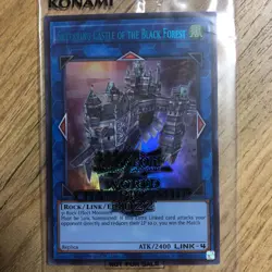 Yu-Gi-Oh Kaiser Eagle the Heavens Mandate & Skyfaring Castle of the Black Forest - Image 2