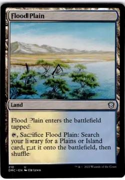 MTG Flood Plain Commander: Dominaria United Uncommon #210 - Image 1