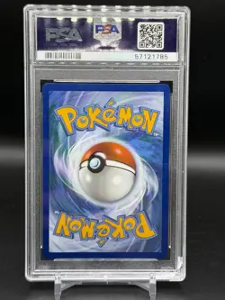 PSA 10 Raikou Amazing Rare Holo SWSH04: Vivid Voltage 050/185 Pokemon English - Image 2