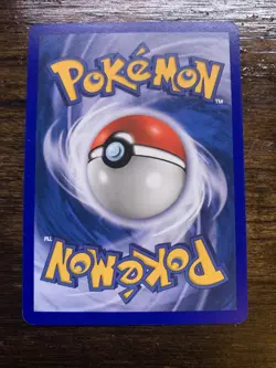 Pokemon TCG Mudkip EX Dragon 65/97 Regular Common Nm - Image 5