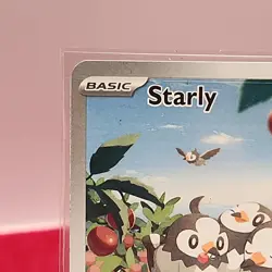 Starly 221/198 Sv01: Scarlet & Violet Base Set Holo: CUTE GIFT MINT POKEMON TCG - Image 3