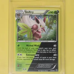 2007 Pokemon Cracked Ice Holo Diamond & Pearl Secret Wonders Raikou #16/132 - Image 3