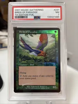 Birds of Paradise 7th Edition Foil Graded 7 PSA - Image 3
