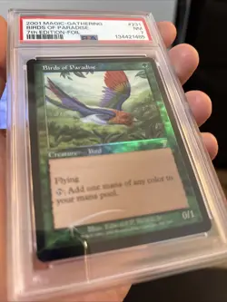 Birds of Paradise 7th Edition Foil Graded 7 PSA - Image 5