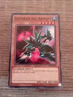 Yu Gi Oh ! Deck de Gansley pret pour etre jouer en Francais - Image 1