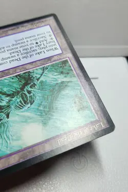 MTG Lake Of The Dead - Alliances NM - Image 5