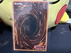 Harpie's Pet Baby Dragon - 1st Edition SD8-EN017 - LP - YuGiOh - Image 2