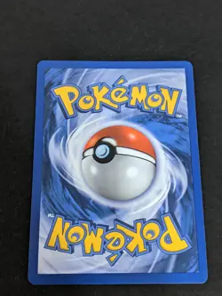 Pokemon French Base Set 1st EDITION Otaria/Seel 41/102 RARE Near Mint Nm - Image 2