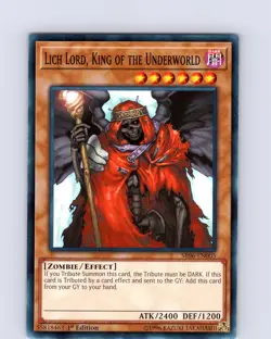 Yu-Gi-Oh Lich Lord, King Of The Underworld SR06-EN005 1st Edition Common Card NM - Image 1