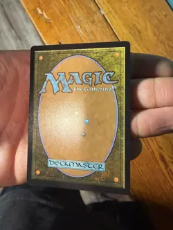 Appa, Steadfast Guardian TLA Avatar MTG Regular near mint - Image 4