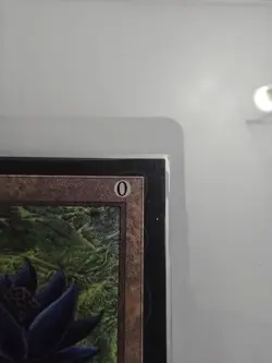 Black Lotus Collectors Edition CE NM Magic The Gathering MTG - Image 4