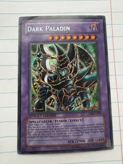 Dark Paladin DMG‑001 YuGiOh Secret Rare 2002 Limited Edition Promo - Image 1