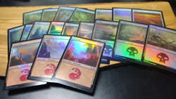 Lot of 19x M20 - Mixed Basic Lands - MTG Magic Light Play Foil Holo Bulk Set - Image 1