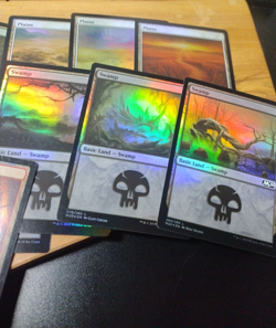 Lot of 19x M20 - Mixed Basic Lands - MTG Magic Light Play Foil Holo Bulk Set - Image 4