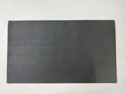 Pokemon TCG League Cup Champion Playmat 2024 Raging Bolt - Image 2