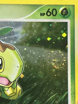 Turtwig #DP01 - SWIRL Promo Holo Diamond & Pearl Promos Pokemon TCG Vintage LP - Image 3