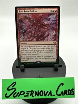 Magic The Gathering: Soul Immolation Lorwyn Eclipsed Regular MTG - Image 1