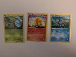 Pokemon TCG XY Promos Treecko XY36, Torchic XY 37, and Mudkip XY38 - Image 1
