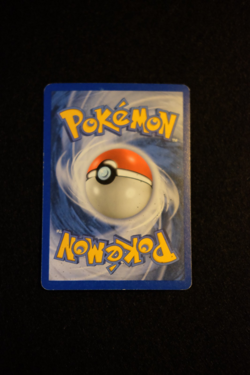 Pokemon Karte Dark Steelix 10/109 EX Team Rocket Returns Stamped Reverse Holo EN - Image 3