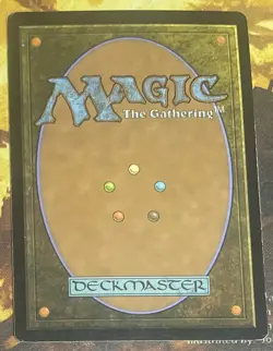 1x Settle the Wreckage (LP) - Image 2