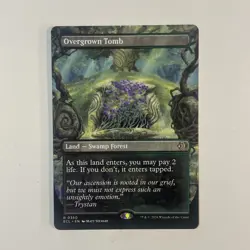 Overgrown Tomb (Borderless) Lorwyn Eclipsed Regular - nm - mtg - Image 1