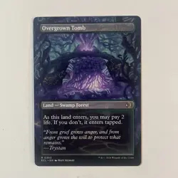Overgrown Tomb (Borderless) Lorwyn Eclipsed Regular - nm - mtg - Image 2
