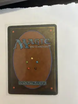 MTG Primal Order - Homelands - Image 2