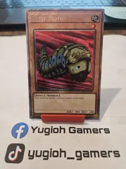 Yu-Gi-Oh Petit Moth RA04 1st Edition Secret Rare Light Played - Image 1