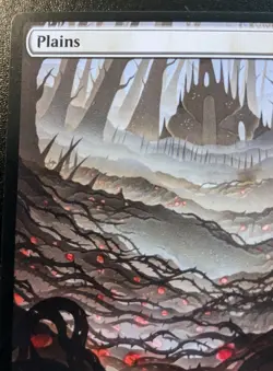 Plains (Full Art) 0262 WOE Land Wilds Of Eldraine Magic: The Gathering - Image 2