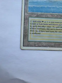 Magic: The Gathering MTG - Bayou (Revised Edition / 3rd Edition) - Image 3