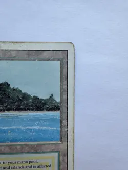 Magic: The Gathering MTG - Bayou (Revised Edition / 3rd Edition) - Image 4