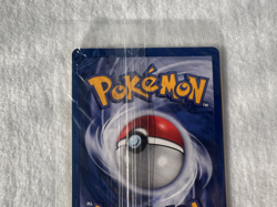 Pokemon Moltres Black Star Promo #21 – Legendary Birds – WotC – Factory Sealed - Image 5