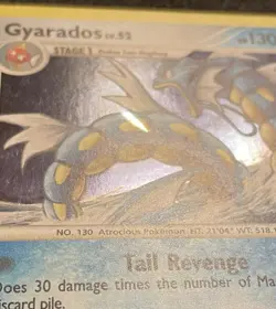 Pokemon Gyarados OBSTRUCTION ERROR Stormfront Holo 19/100 *MP Raging Sea Deck - Image 4