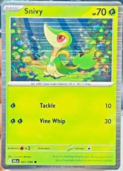 Pokemon BLK EN Singles - Holo, Reverse Holo - Choose your card - Image 3