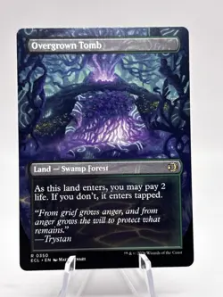 Overgrown Tomb 0350 Borderless Lorwyn Eclipsed ECL MTG NM - Image 2