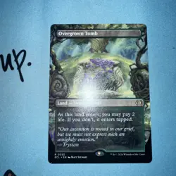 Overgrown Tomb (Borderless) Lorwyn Eclipsed Nonfoil Near Mint - Image 1