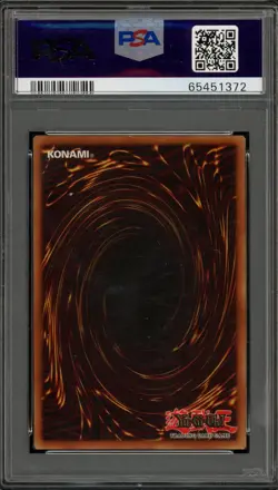 Yu-Gi-Oh! Blue-Eyes White Dragon Starter Deck 1st Edition SDK-001 PSA 6 - Image 2