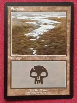 Magic The Gathering EURO LAND SWAMP LAKE DISTRICT UK card MTG Red Booster - Image 1