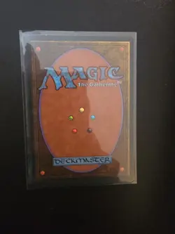 Magic The Gathering, Winter Sky, Homelands, Regular - Image 2