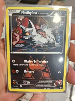 Team Magma’s Poochyena 17/34 Double Crisis 2015 French NM Non-Holo Pokemon TCG - Image 1