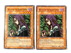 Witch of the Black Forest - SKE-020 / SDP-014 - Common - Damaged - YuGiOh! X2 - Image 1