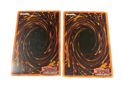 Witch of the Black Forest - SKE-020 / SDP-014 - Common - Damaged - YuGiOh! X2 - Image 2