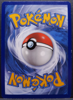 Toxel SWSH209 Fusion Strike Promo Holo Pokemon Pokemon Card English Near Mint - Image 2