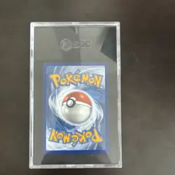 Pokemon Stellar Crown Squirtle Illustration Rare SGC 10 Graded Card 2024 - Image 2